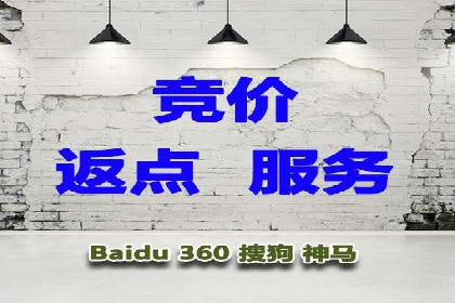 某sem公司成功案例揭秘